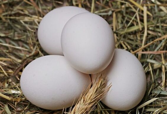 A dieta do ovo envolve comer ovos de galinha diariamente. 